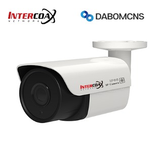 인터코엑스 IXBA-500 500만화소 IP 실외카메라 